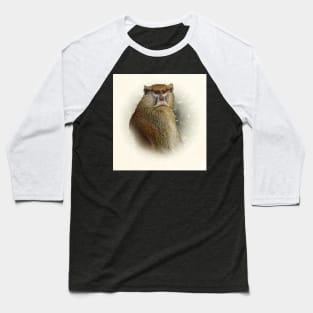 Patas monkey Baseball T-Shirt